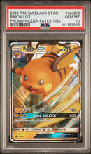 Raichu GX SM213 Hidden Fates Tin Black Star Promo PSA 10 101163530