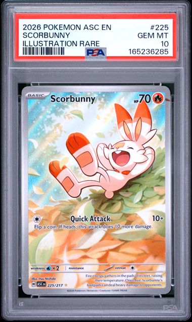Scorbunny 225/217 Ascended Heroes Illustration Rare PSA 10 165236285