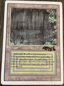 Bayou Signed [Revised Edition]