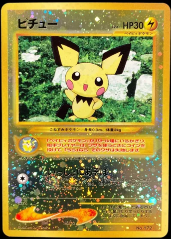 Pichu JAPANESE Neo Premium File 2