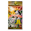 Neo Discovery - Booster Pack JAPANESE