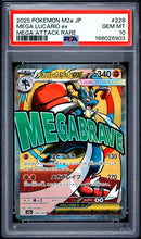 Mega Lucario ex Japanese (228)