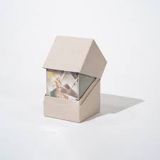 Boulder Deck Case - Return to Earth
